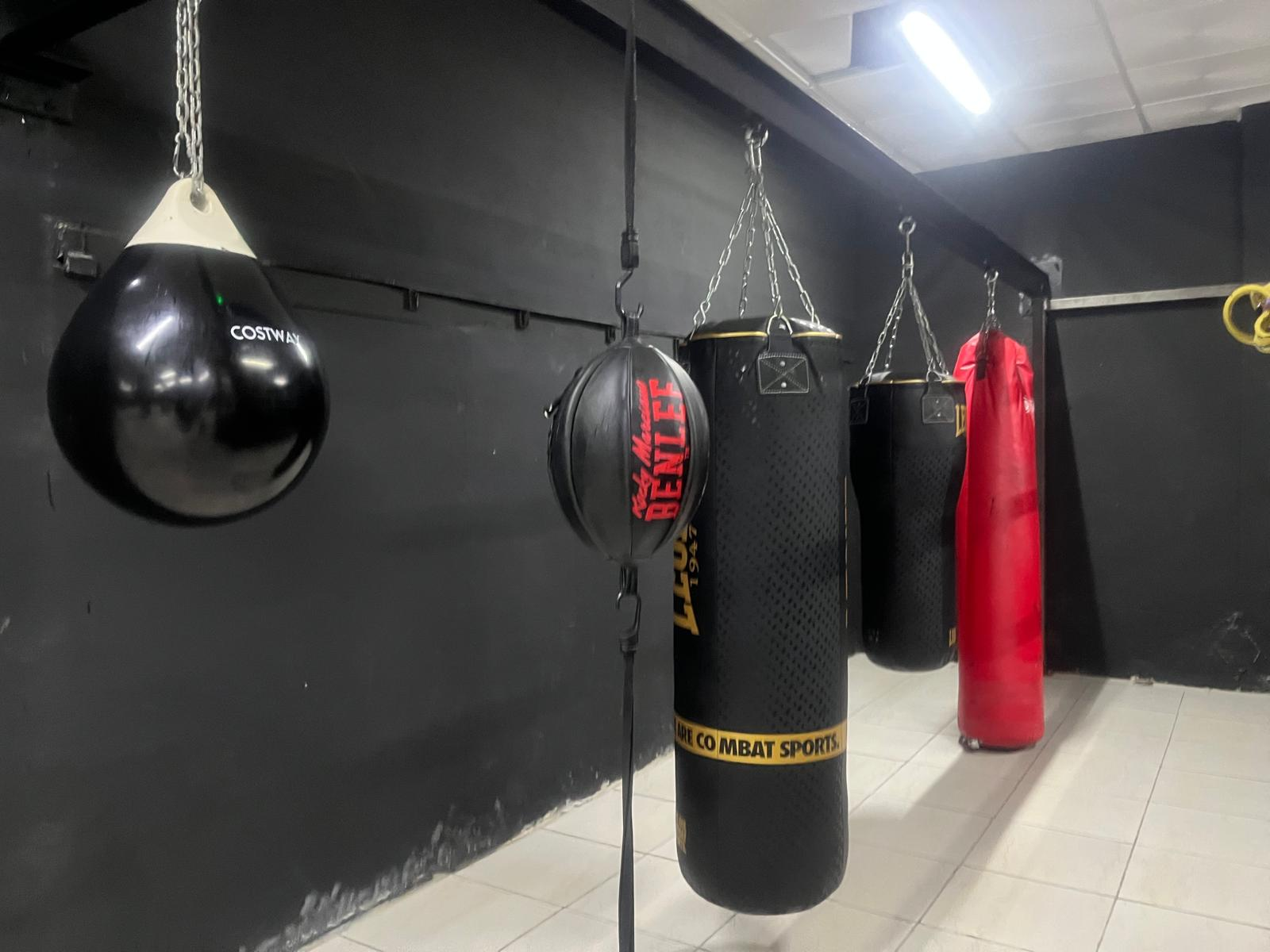 Fila de sacos de boxeo Leone 1947